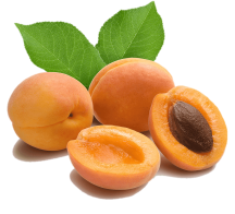 абрикос, абрикос, желтый png | PNGEgg